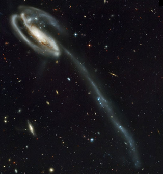 Illustration for article titled How to Find the Distance To Any Spiral Galaxy